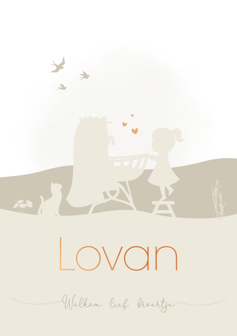 Geboortekaartje Silhouet Wiegje Kat Jongen