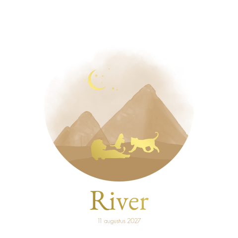 Geboortekaartje Jongen Rond Leeuwen Sterretjes