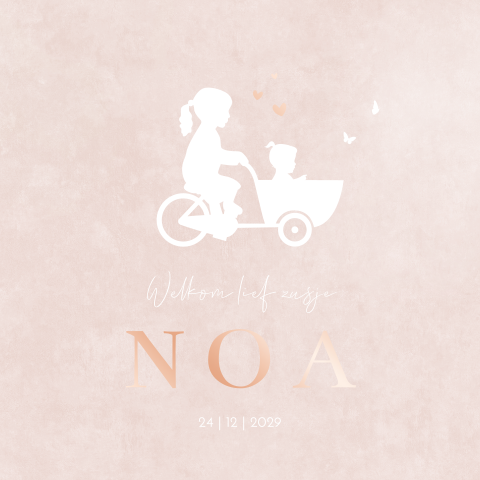 Geboortekaartje Meisje Bakfiets Suède Zusjes