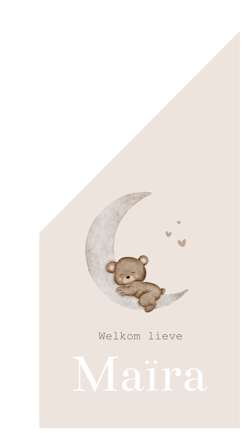 Vlag XL Maantje Beertje Roze