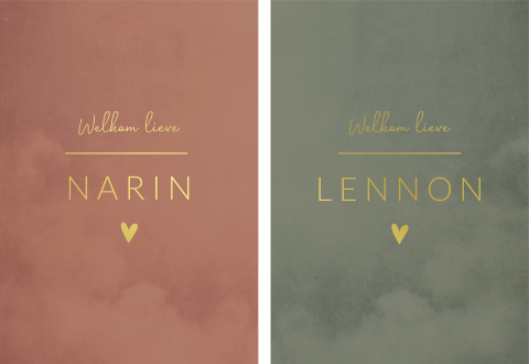 Geboortekaartje Tweeling Set Modern Oudroze Groen