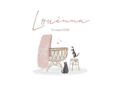 Geboortekaartje Meisje Koekje Wiegje Katten