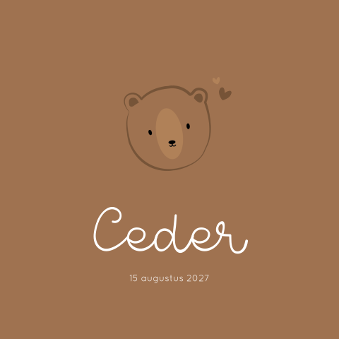 Geboortekaartje jongen beer lief