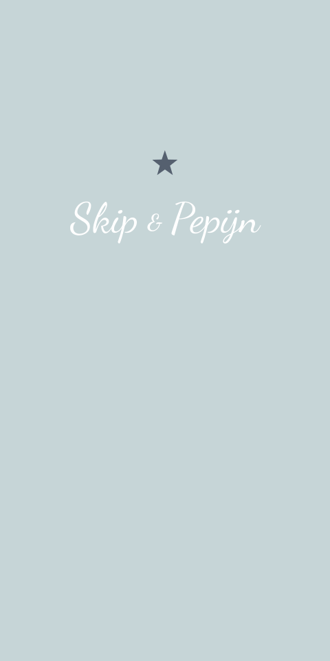 Geboortekaartje Tweeling Blauw Sterren