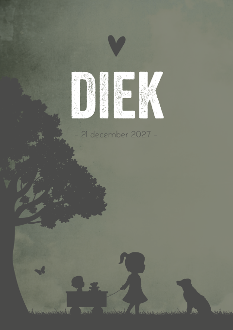 Geboortekaartje Jongen Illustratie Zus Bolderkar