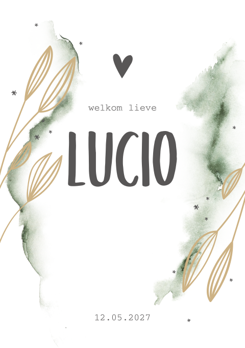 Geboortekaartje aquarel groen jongens takjes