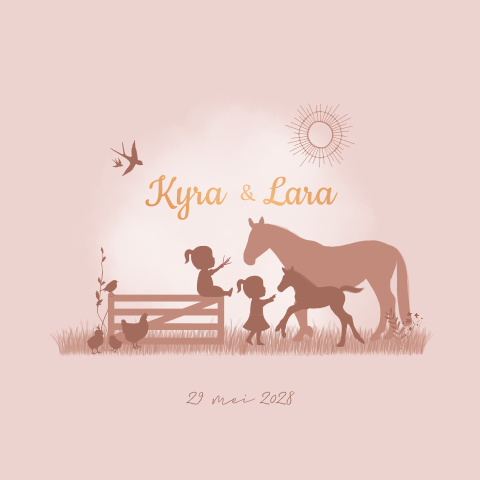 Geboortekaartje Tweeling Boerderij Paard Kip