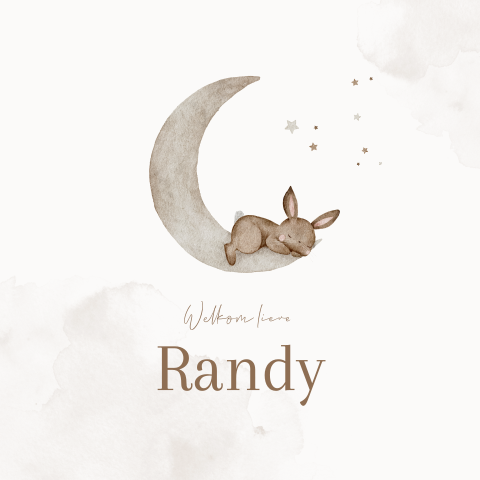 Geboortekaartje Jongen Sterren Maan Konijn 