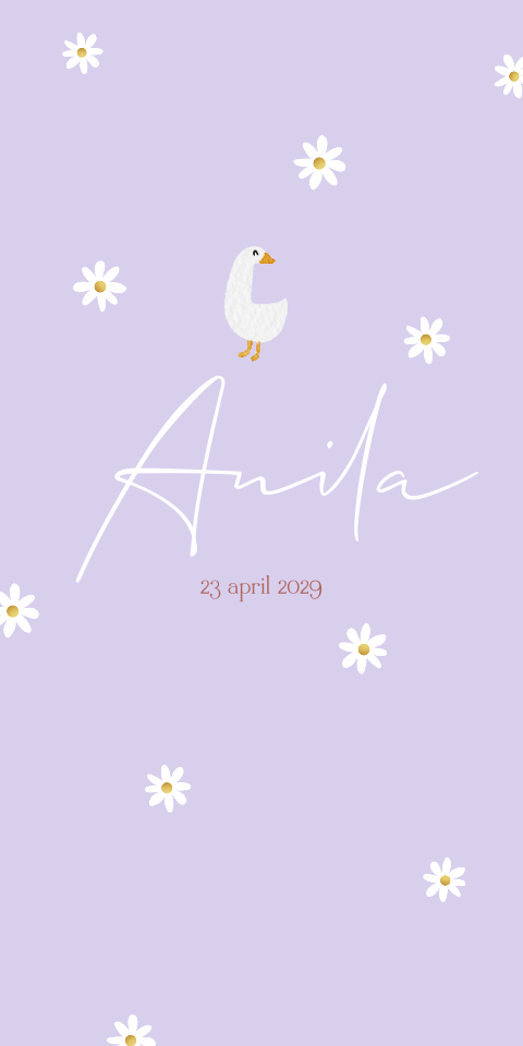 Geboortekaartje Gansje Madeliefjes Lila