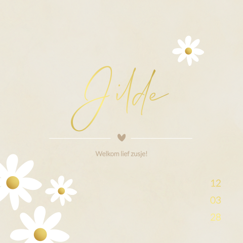 Geboortekaartje Meisje Beige Madeliefjes