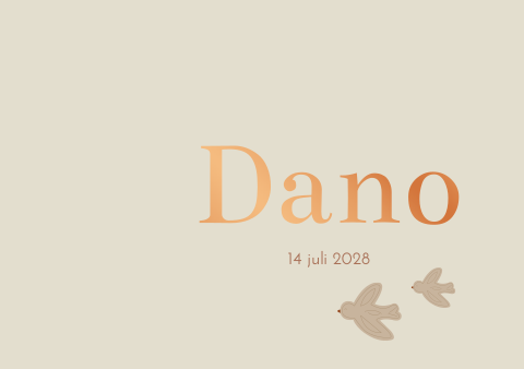 Geboortekaartje jongen beige crème Vogels