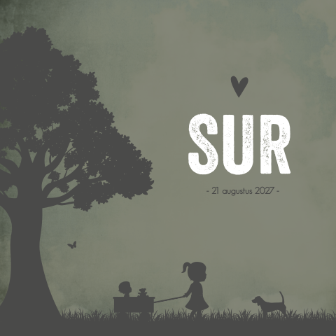 Geboortekaartje Jongen Groen Zus Stoer