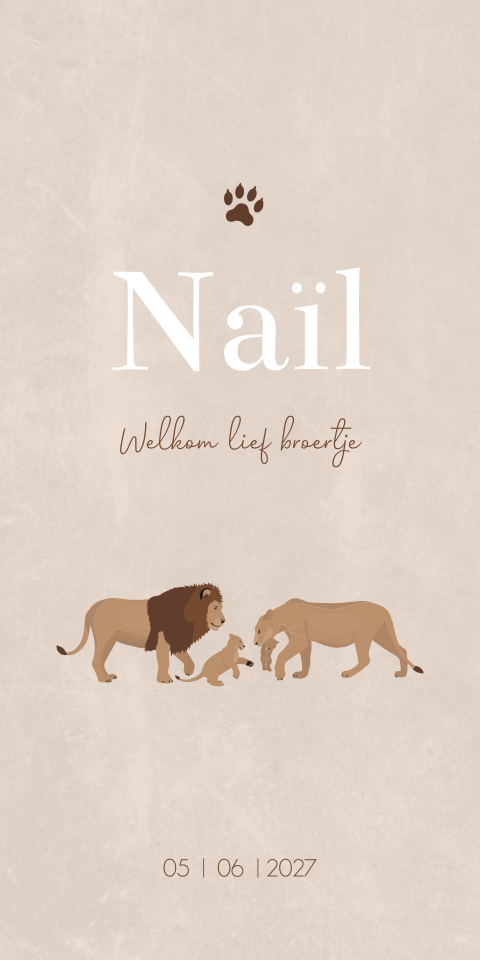 Geboortekaartje Jongen Beige Leeuwen Savanne