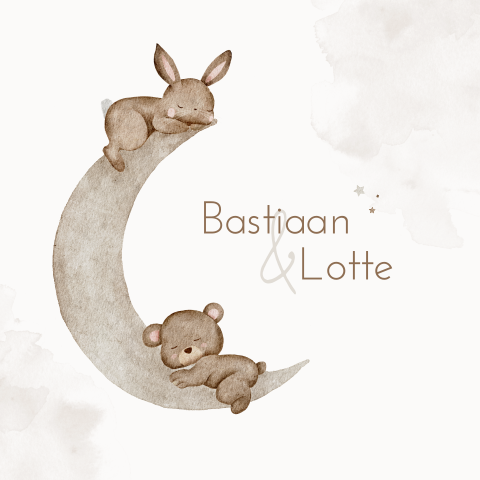 Tweeling Beertje Konijntje Maan Unisex