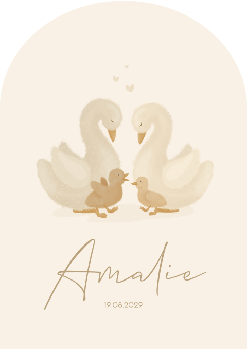 Geboortekaartje Meisje Zusje Zwaan Familie