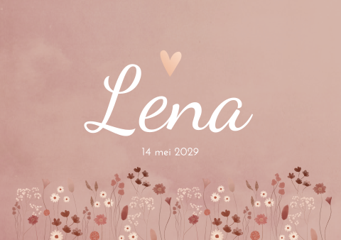 Geboortekaartje Meisje Veldbloemen Bloemetjes