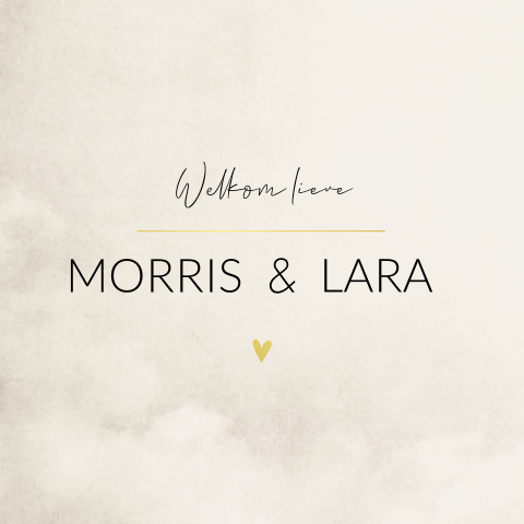 Geboortekaartje tweeling beige goudfolie