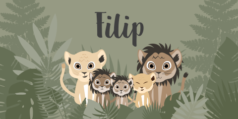 Geboortekaartje Jungle Dieren Leeuwenfamilie Savanne