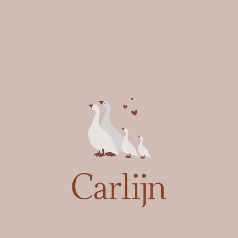 Geboortekaartje Familie Gans Meisje