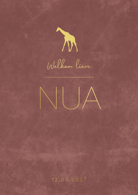 Geboortekaartje meisje velvetlook bruin giraffe