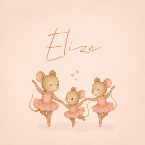 Geboortekaartje Muizen Ballet Roze