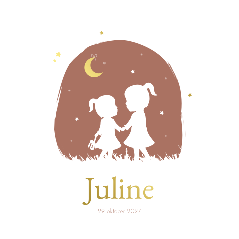 Geboortekaartje Meisje Zusjes Silhouet Sterren