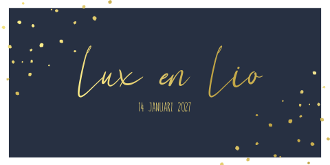 Geboortekaartje Tweeling Donkerblauw Stippen Folie