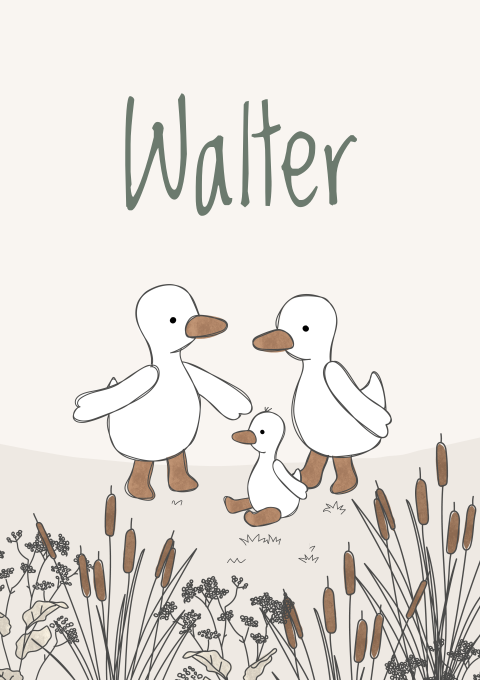 Geboortekaartje Jongen Lente Eendjes Gansjes