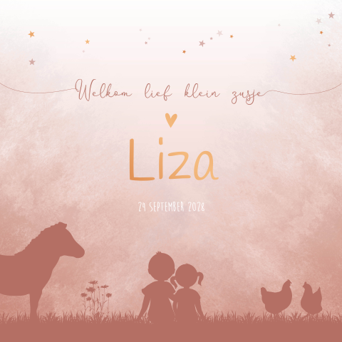 Geboortekaartje Meisje Dieren Roze Broer