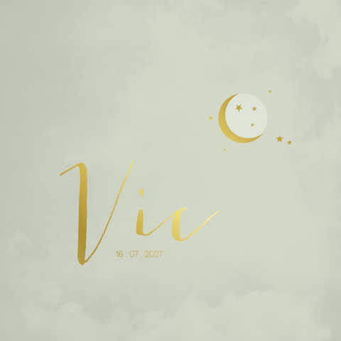 Geboortekaartje jongen mint goudfolie maantje