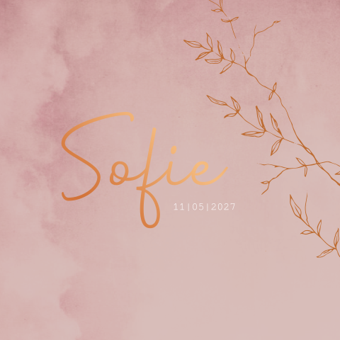 Geboortekaartje meisje roze takjes