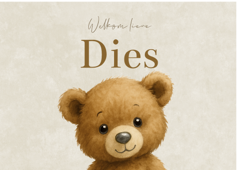 Raambord Jongen Velvetlook Teddybeertje