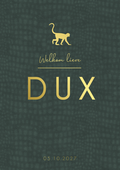 Geboortekaartje Jongen Groen Jungle Aap