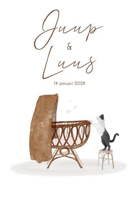 Geboortekaartje tweeling Waterverf Wieg Poes