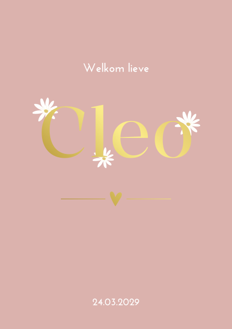Geboortekaartje Madeliefjes Bloemetjes Hartje Meisje
