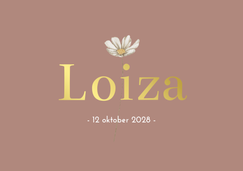 Geboortekaartje meisje madeliefje bloemetje