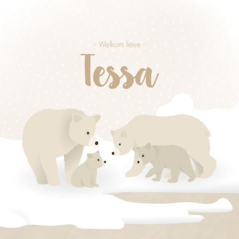 IJsberen IJsbergen Winter Sneeuw