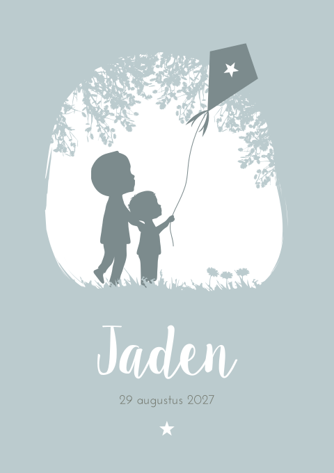 Geboortekaartje Jongen Vlieger Groen Broertjes