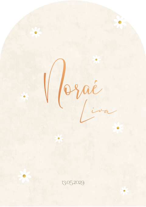 Geboortekaartje Boogvorm Madeliefjes Bloemen