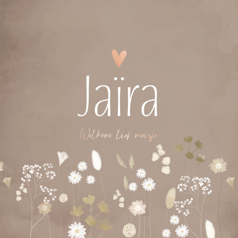 Geboortekaartje Meisje droogbloemen Bruin