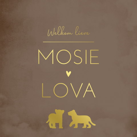 Geboortekaartje tweeling bruin goud leeuwtjes
