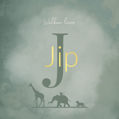 Geboortekaartje jongen giraffe olifant