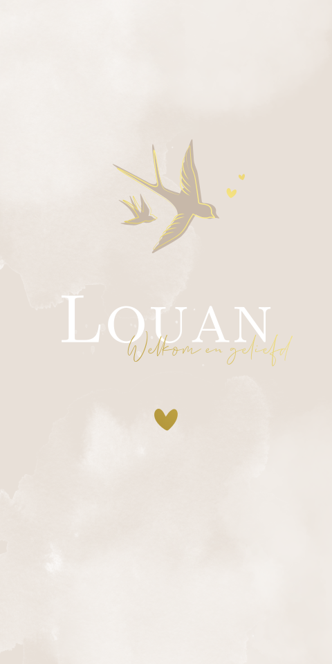 Geboortekaartje Jongen Zwaluw Vogels