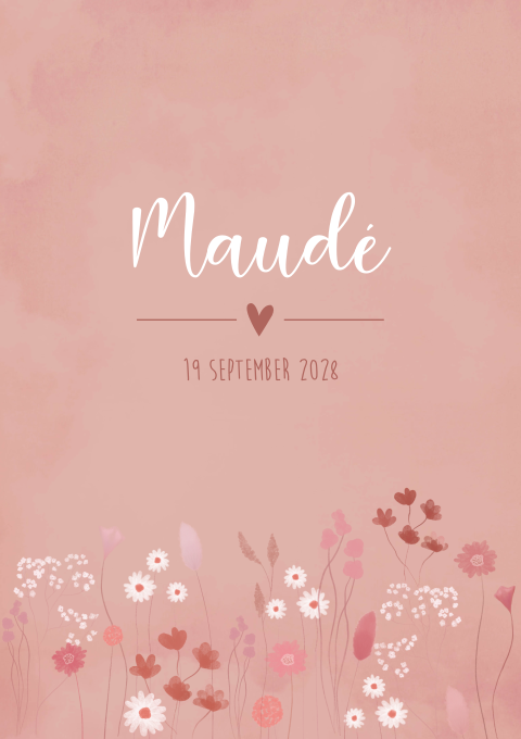 Geboortekaartje Bloemetjes Madeliefjes Roze