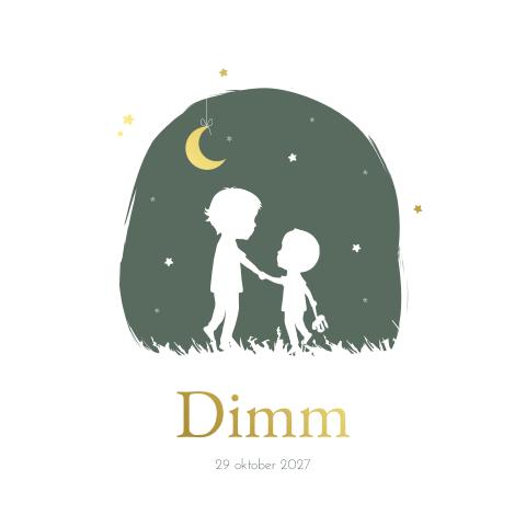 Geboortekaartje jongen broertjes Silhouet Sterren