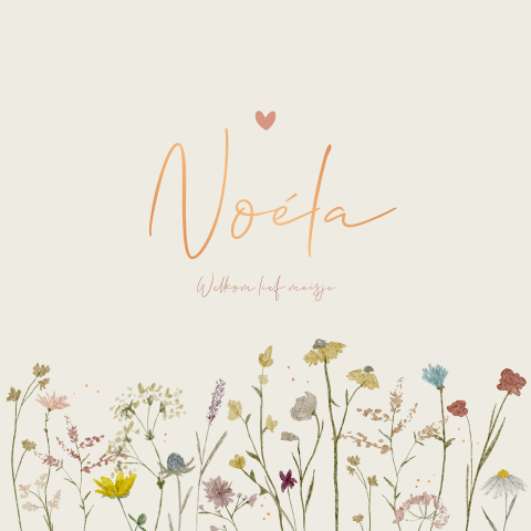 Geboortekaartje Meisje Bloemetjes Beige Droogbloemen