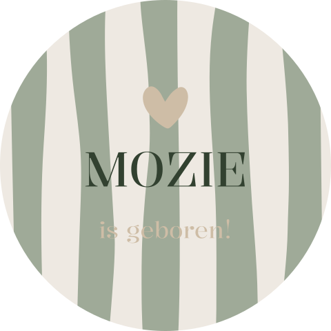 Raamsticker geboortesticker jongen
