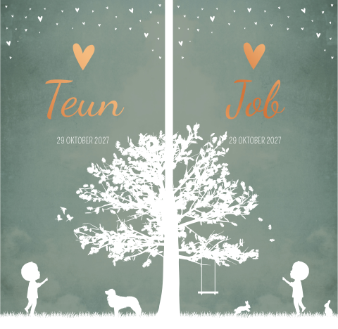 Geboortekaartje Tweeling Jongens Dubbel Silhouet