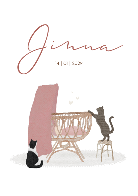 Geboortekaartje Wiegje twee katten poezen