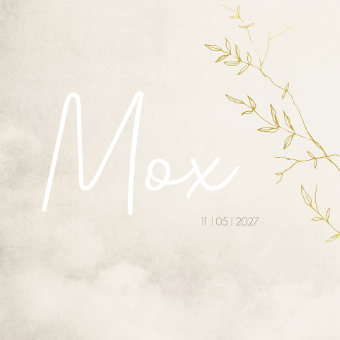 Geboortekaartje jongen beige takjes botanisch